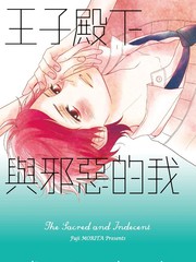 王子殿下与邪恶的我
