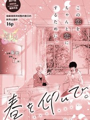 仰望春天